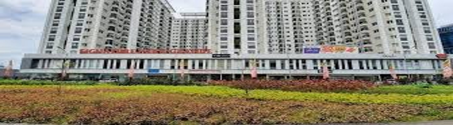 Signature Park